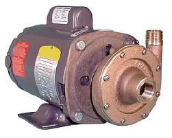 Electric motor with bronze pump head